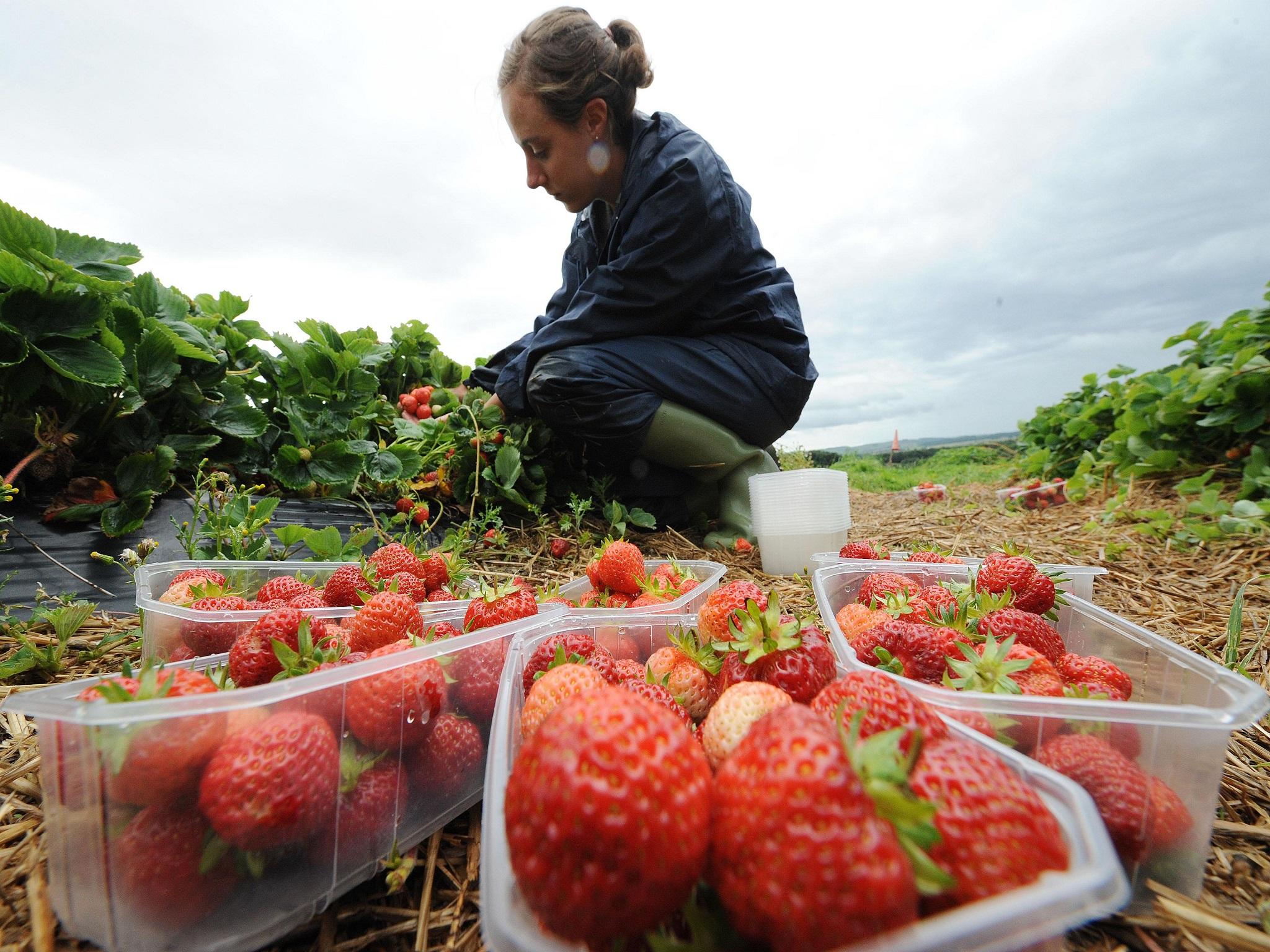 Migrant workers send back £8bn a year to family members back home