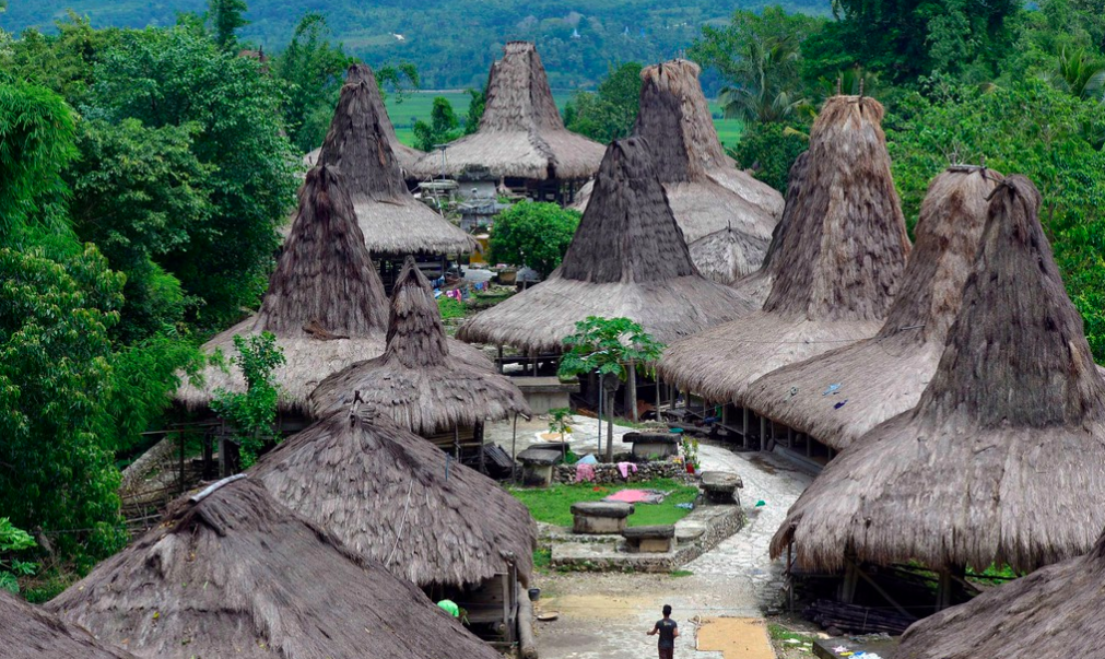 Sumba’s Marapu religion is possibly the most expensive to follow in the world