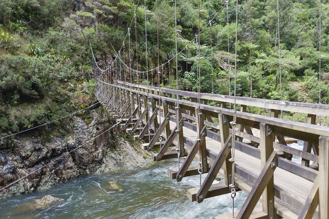 New Zealand, North Island, Waikato, Karangahake Gorge, suspension bridge over Waitawheta River