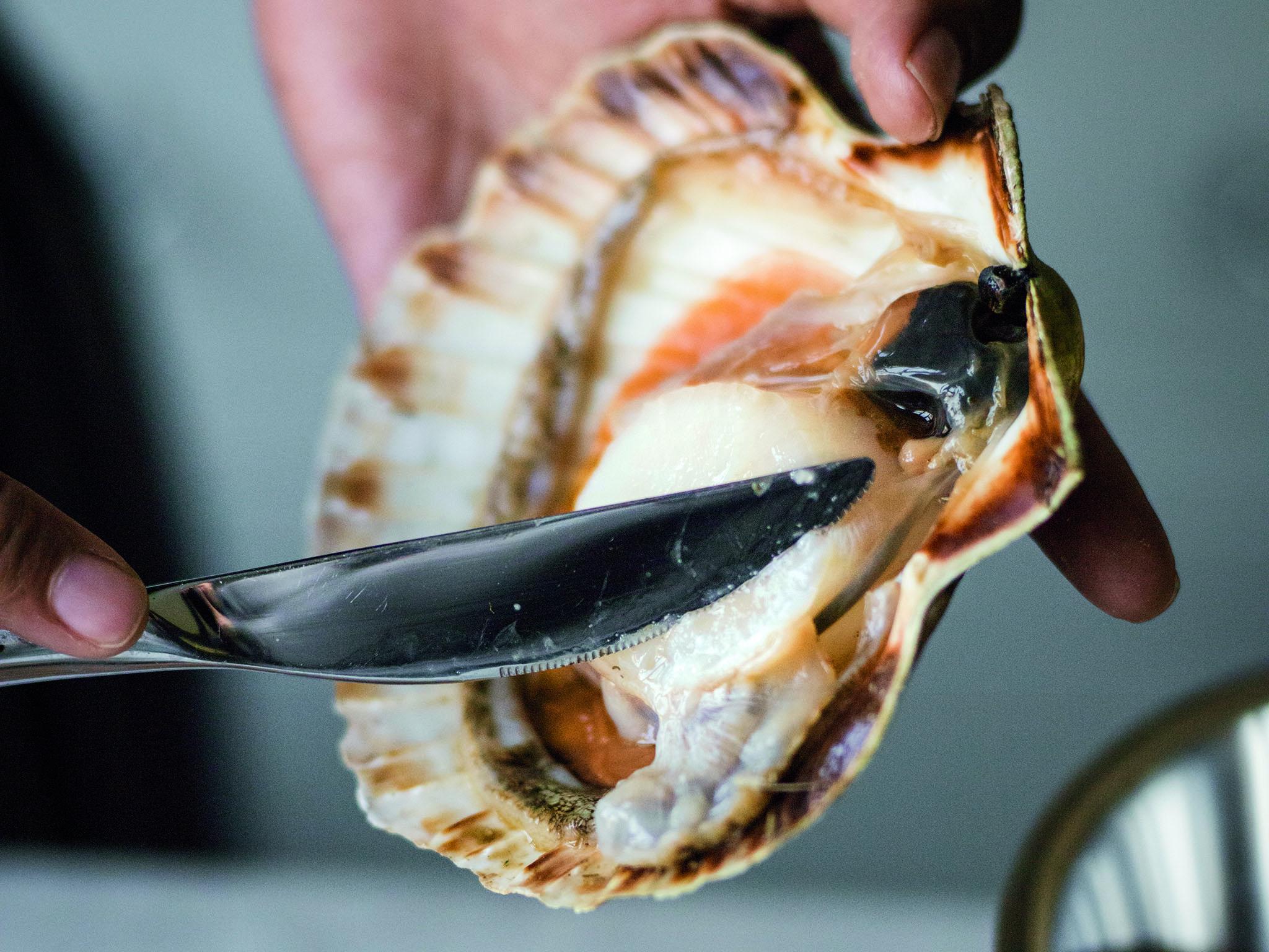 3. Remove the tough, slightly translucent muscle on the side of the scallop by cutting straight down and through it, or loosen it by running your finger around the scallop