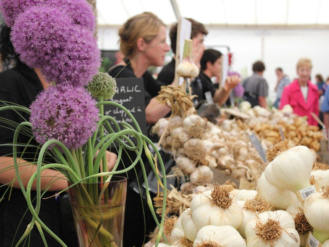 Light bulbs: garlic complements everything from chicken to popcorn