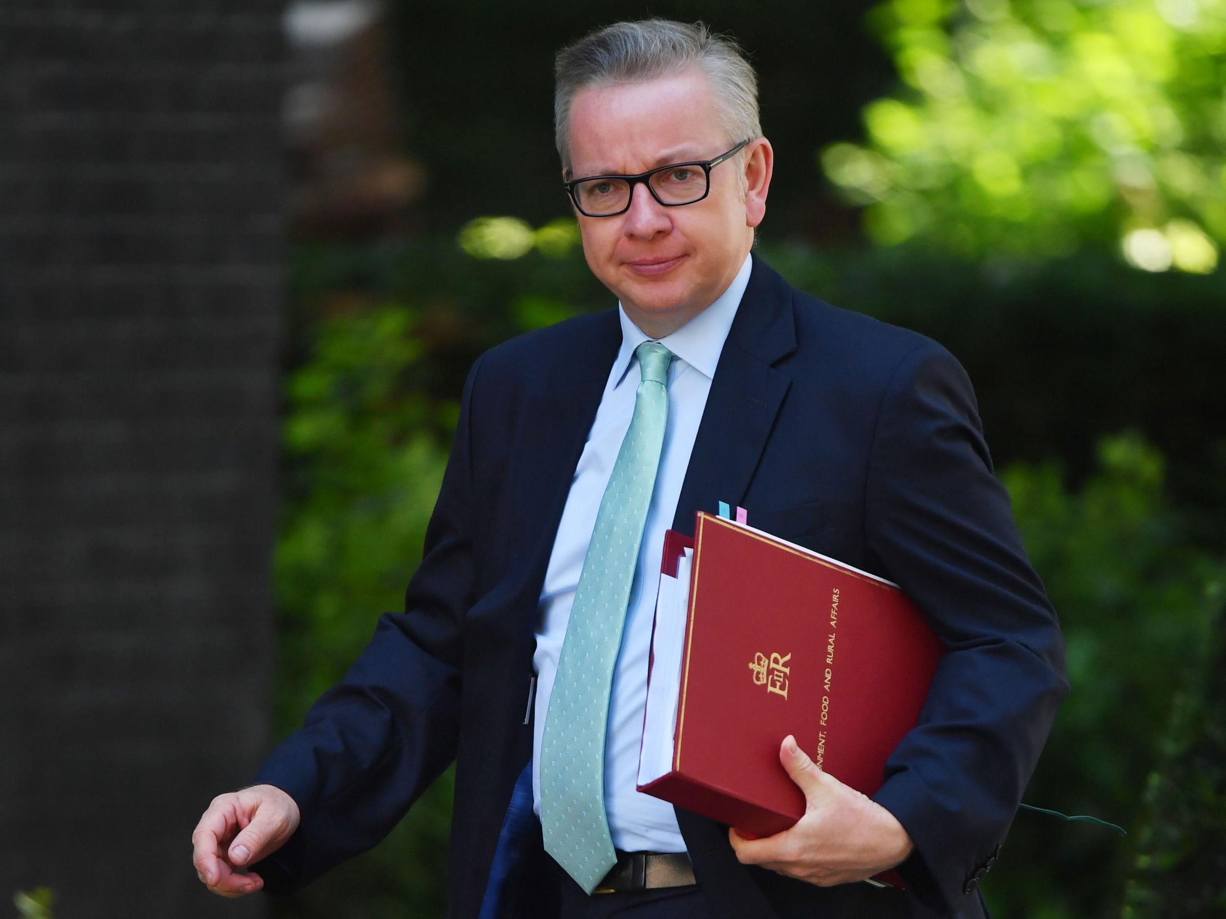 Gove says Britain shall remain ‘a leader in environmental standards’