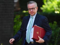 Brexiteer Michael Gove signals ‘pragmatic’ Brexit approach