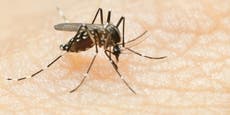 Doctors warn of dengue outbreak in Indian state of Kerala
