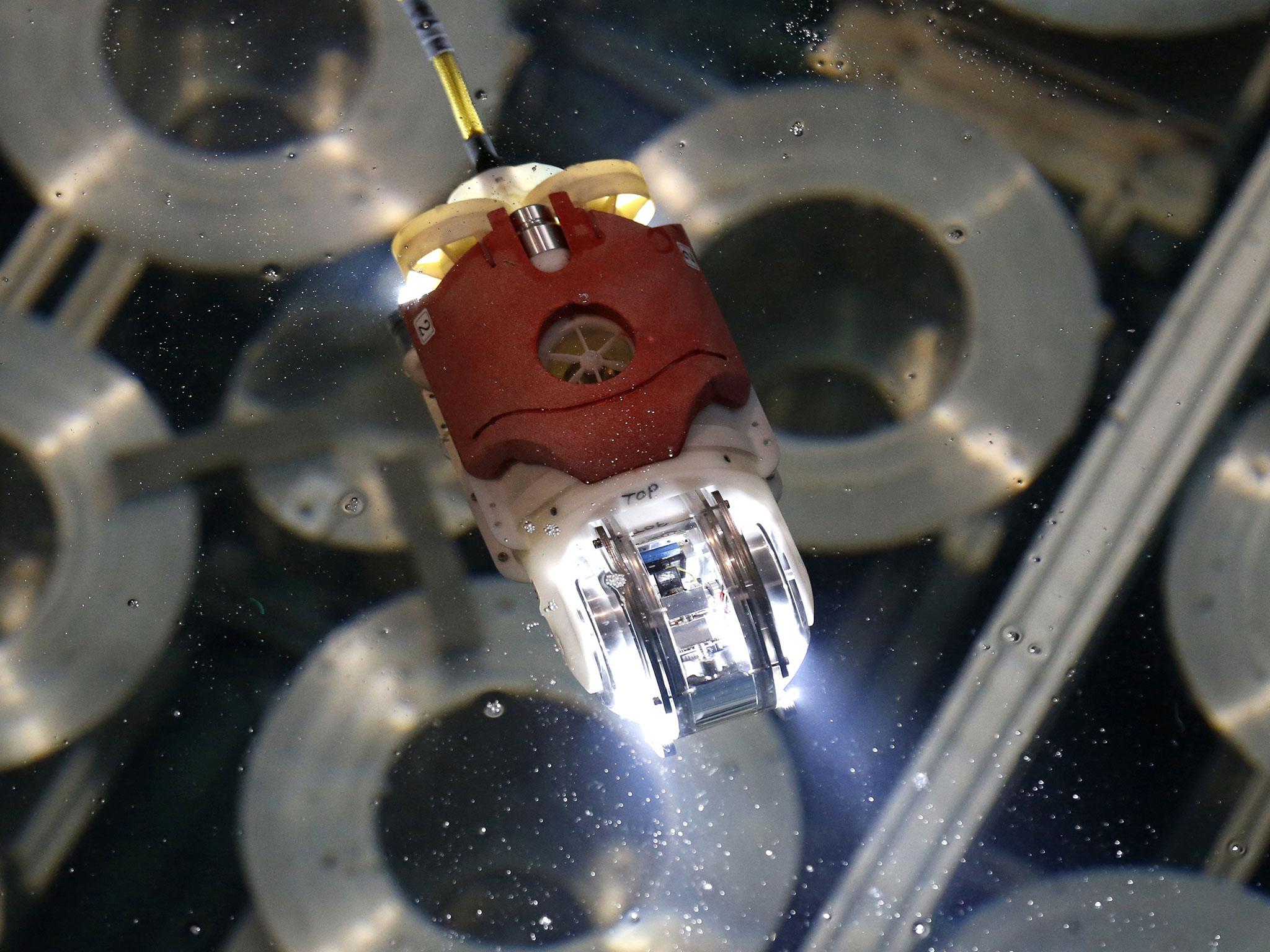 The 'Little Sunfish' robot for underwater investigation at the Fukushima's damaged reactor moves in the water at a Toshiba Corp test facility in Yokosuka, near Tokyo
