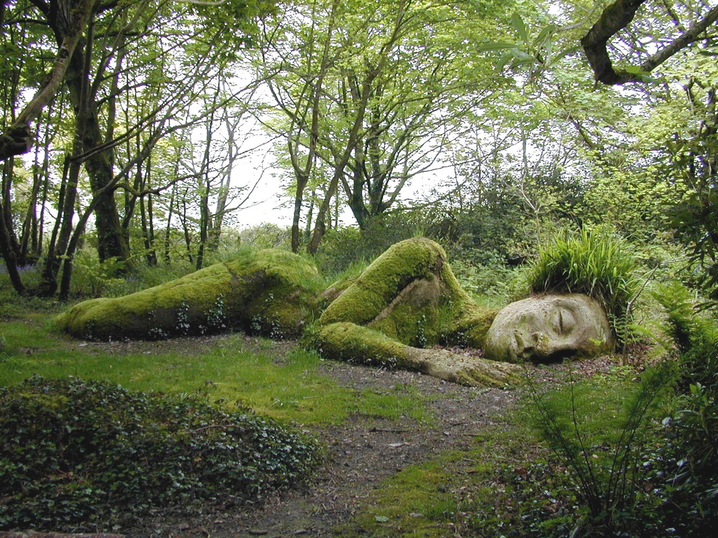 Let their imaginations run wild at the Lost Gardens of Heligan