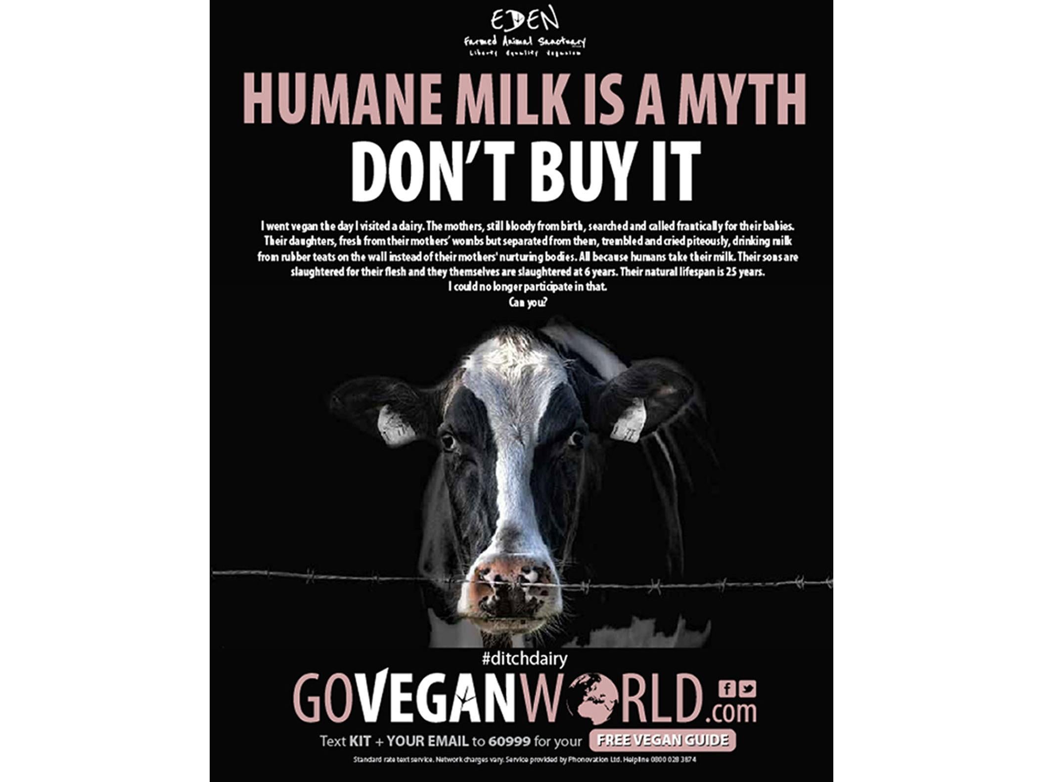 The offending advert for Go Vegan World, which has been cleared by the regulator following complaints from members of the dairy industry that it was inaccurate and misleading