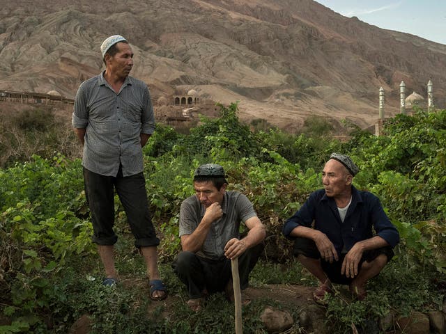 Uyghur farmers in Xinjiang province. The Chinese authorities claim the move is to combat 'terrorist propaganda'