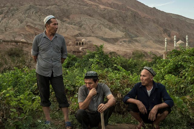 Uyghur farmers in Xinjiang province. The Chinese authorities claim the move is to combat 'terrorist propaganda'