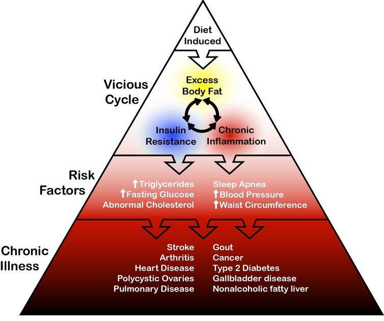 The relationship between overfat and disease