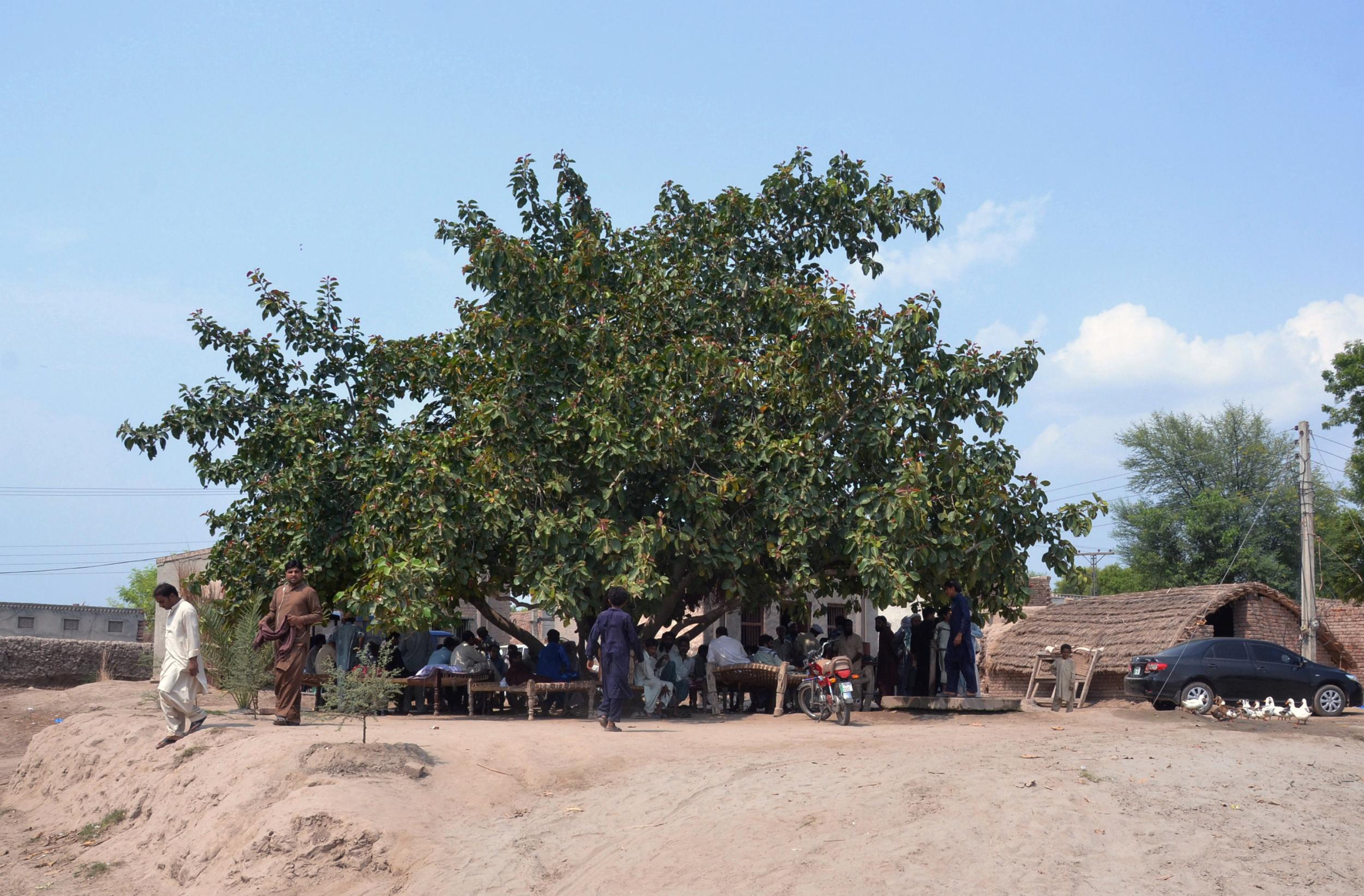 People are seen gathered under a tree where a village council ordered to rape a 16-year-old girl