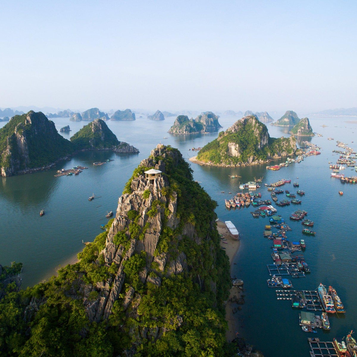 image.title image.title