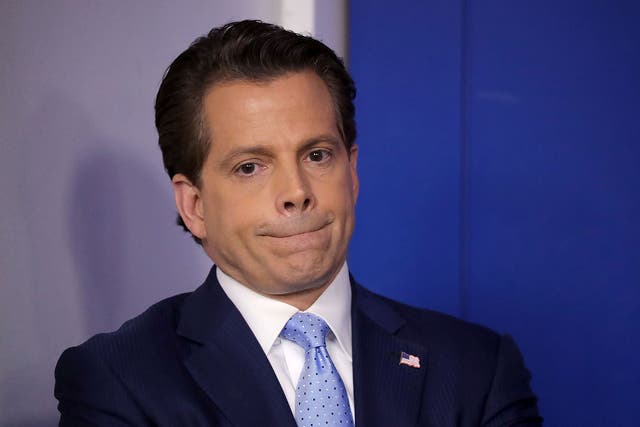 Anthony Scaramucci's first week as White House Director of Communications has been tumultuous.