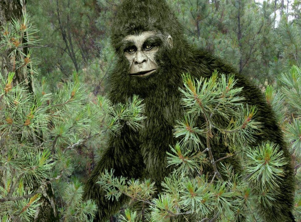 Into the woods: searches for mythical creatures like Bigfoot are dismissed as a waste of resources by some scientists