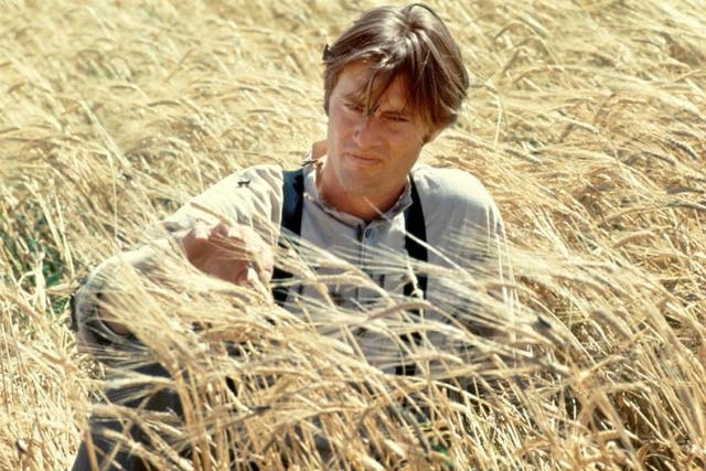 Shepard starring as The Farmer in 1978 drama ‘Days of Heaven’