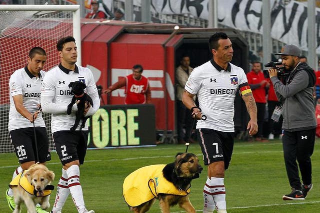 The Colo-Colo players - and their dog mascots - led out by captain Esteban Paredes