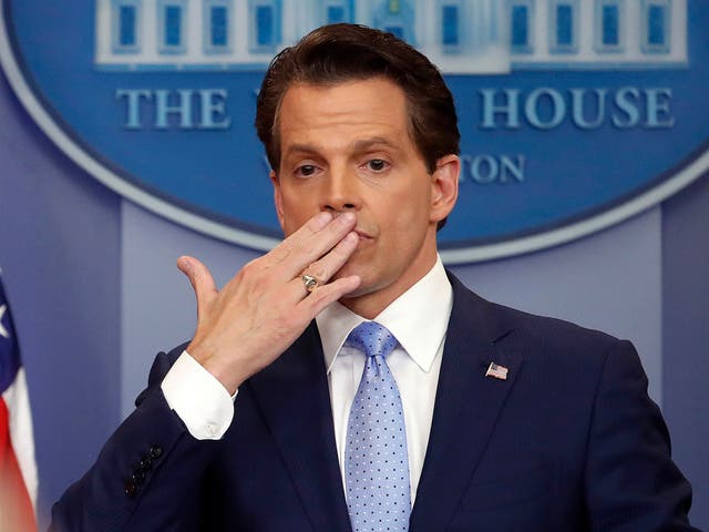 <p>The one and only Anthony Scaramucci</p>