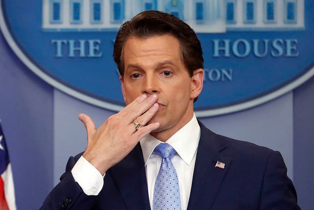 <p>The one and only Anthony Scaramucci</p>
