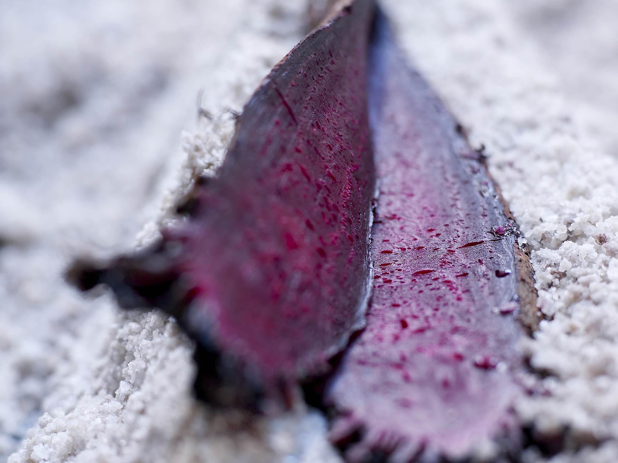 Just beet it: a veritable flesh in the pan is beetroot