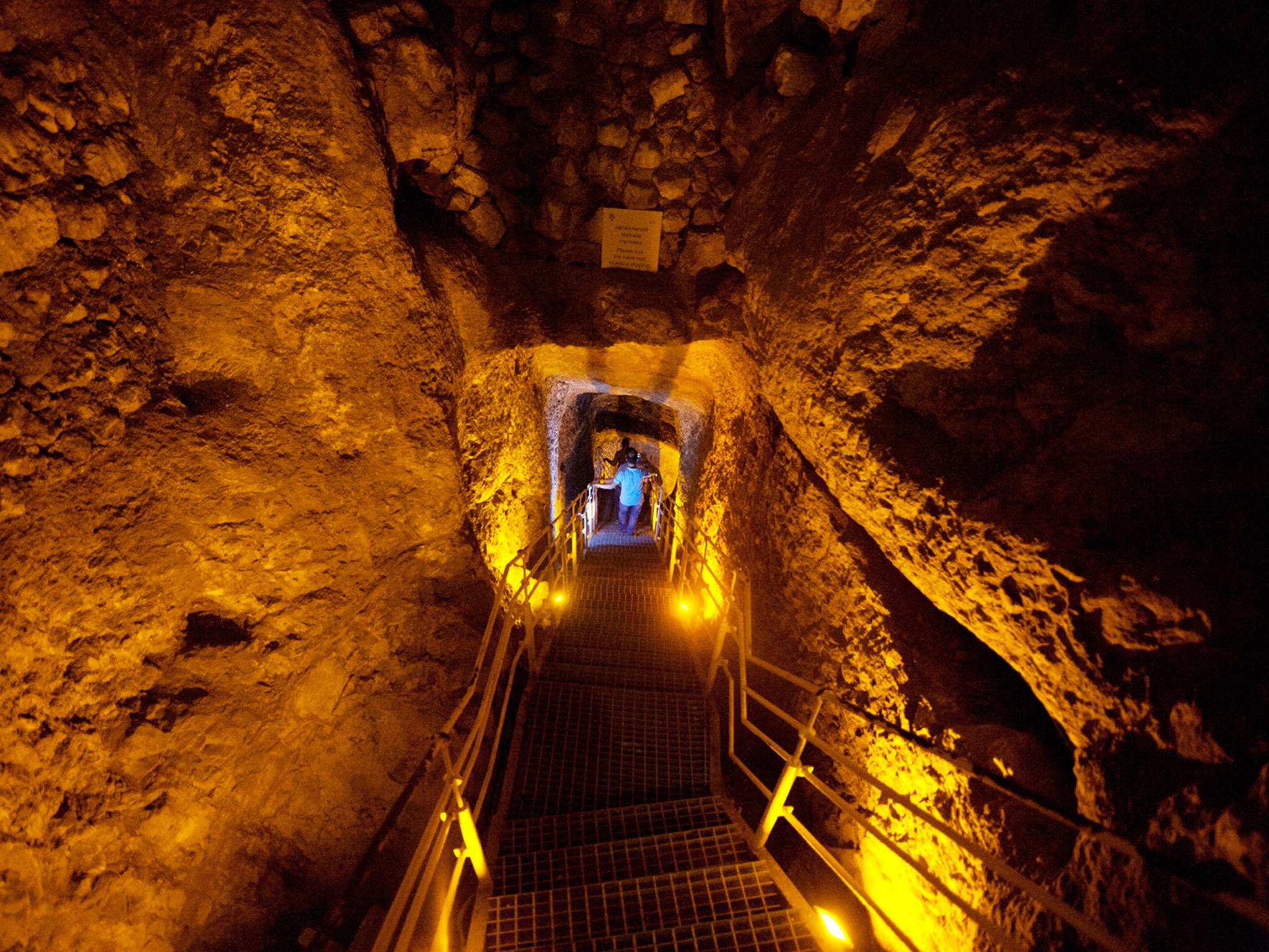 Excavators in tunnels in the City of David found burnt grape seeds, wood and pottery