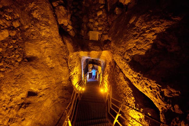 Excavators in tunnels in the City of David found burnt grape seeds, wood and pottery