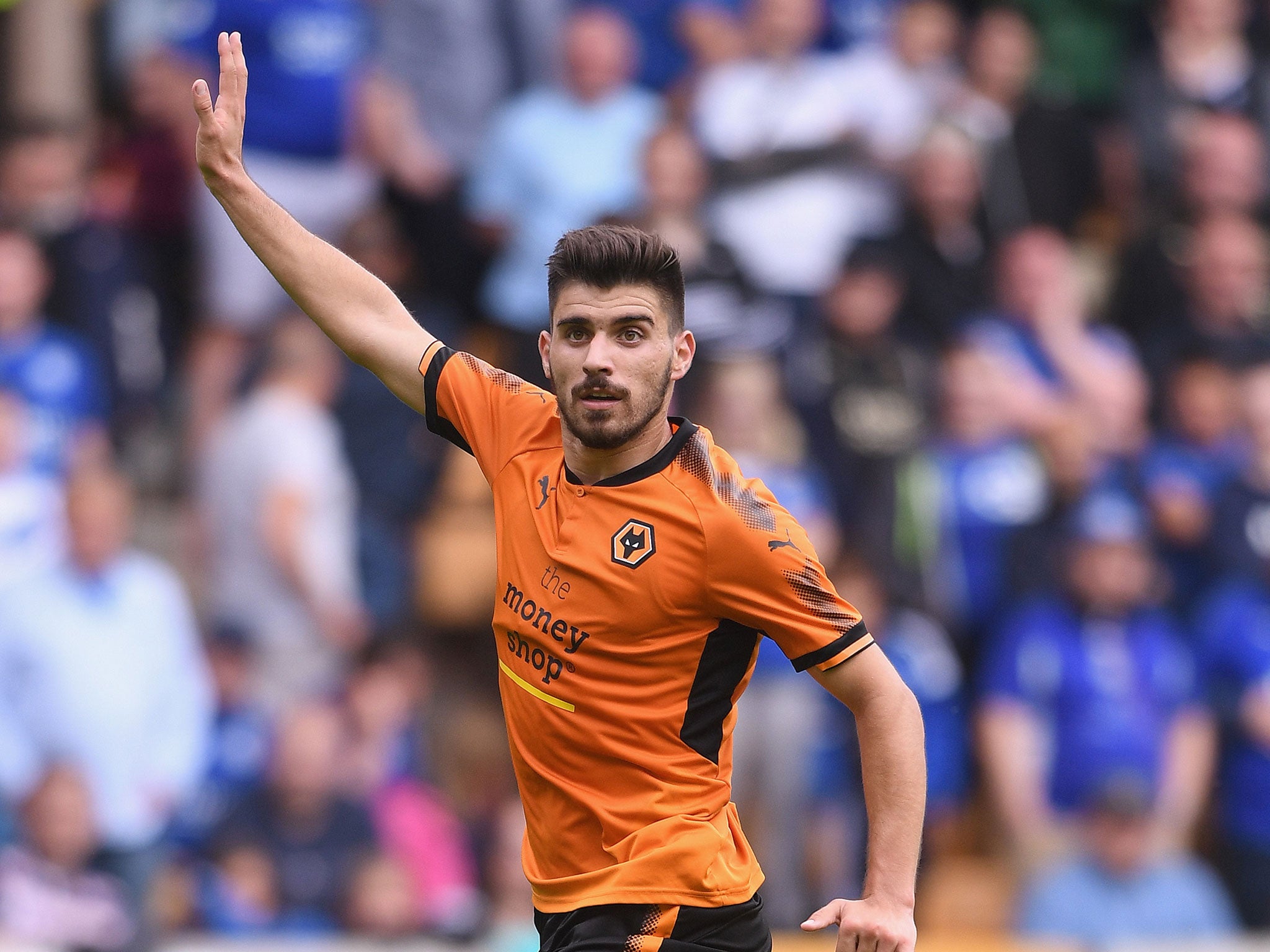 Ruben Neves joined Wolves this summer