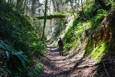 Magical mystery tour: a 56-mile stretch of the walk takes three days