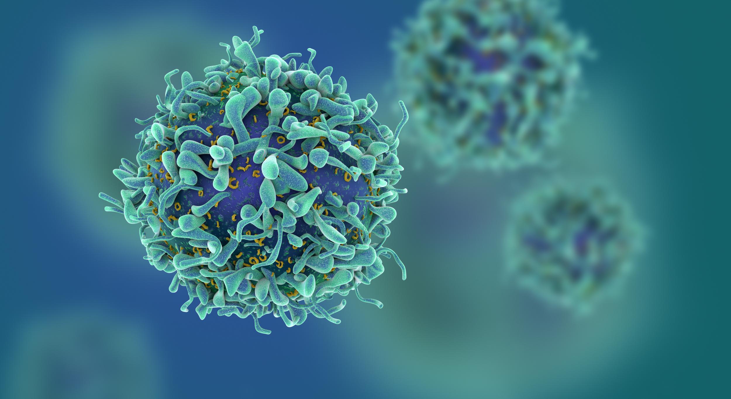 T-Cell stock image