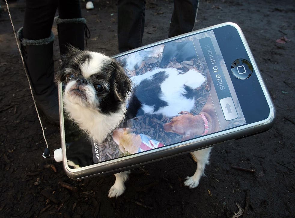 Bon the dog poses as an iPhone during the 17th annual Tompkins Square Halloween Dog Parade October 28, 2007 in New York City