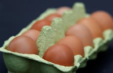Aldi recalls contaminated eggs in Germany after chemical fears