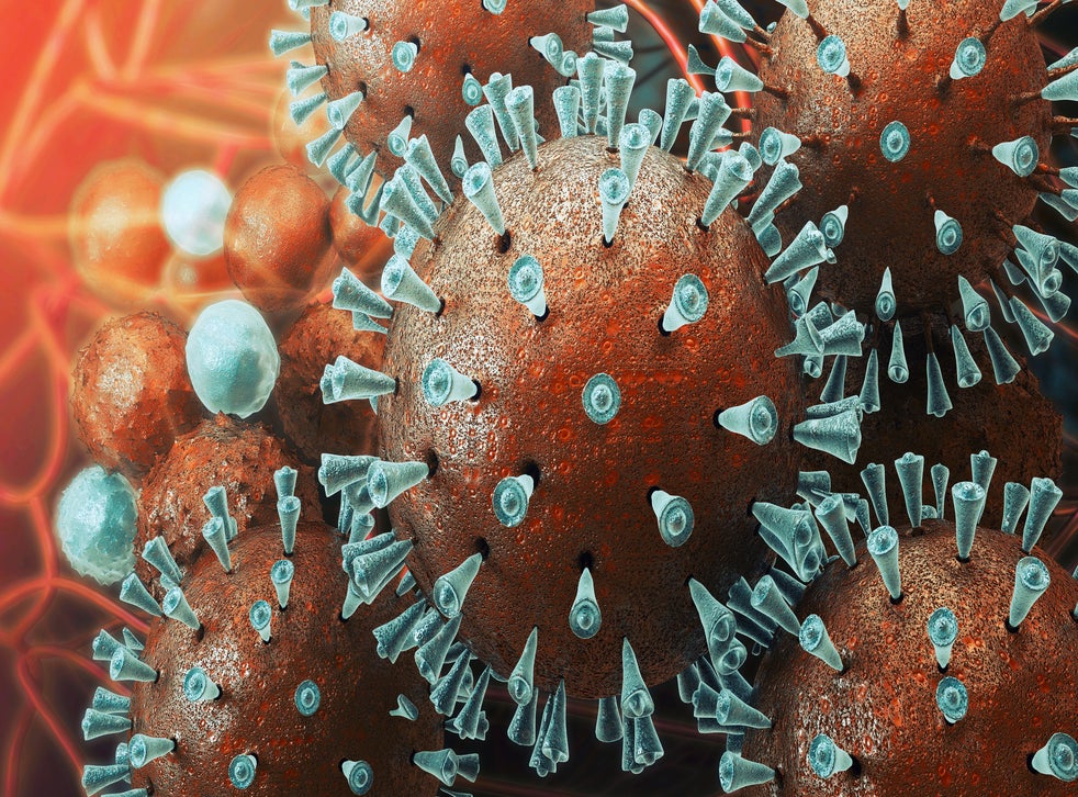 Mycoplasma Genitalium STI Which Could Affect Fertility Is Becoming Resistant To Antibiotics 