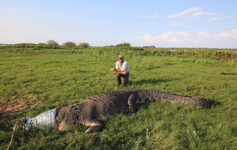 National Geographic TV presenter posted photo on Facebook to his 60,000 followers after he apparently caught the crocodile