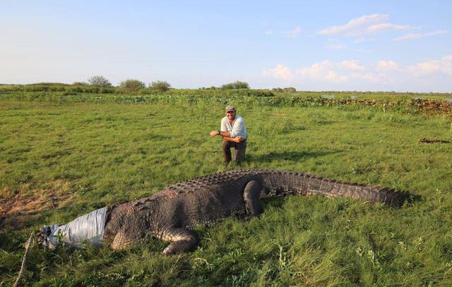 National Geographic TV presenter posted photo on Facebook to his 60,000 followers after he apparently caught the crocodile