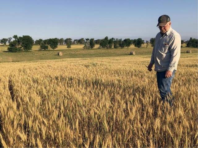 Farmers are concerned about losing crops because of a record drought