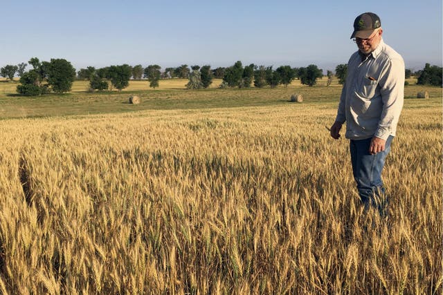 Farmers are concerned about losing crops because of a record drought