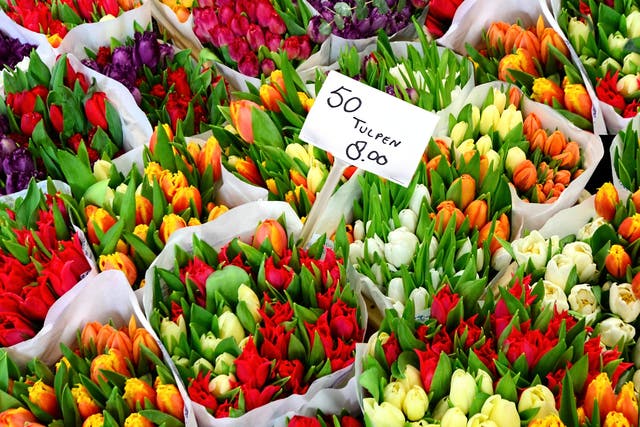 Hit the flower market for fresh tulips