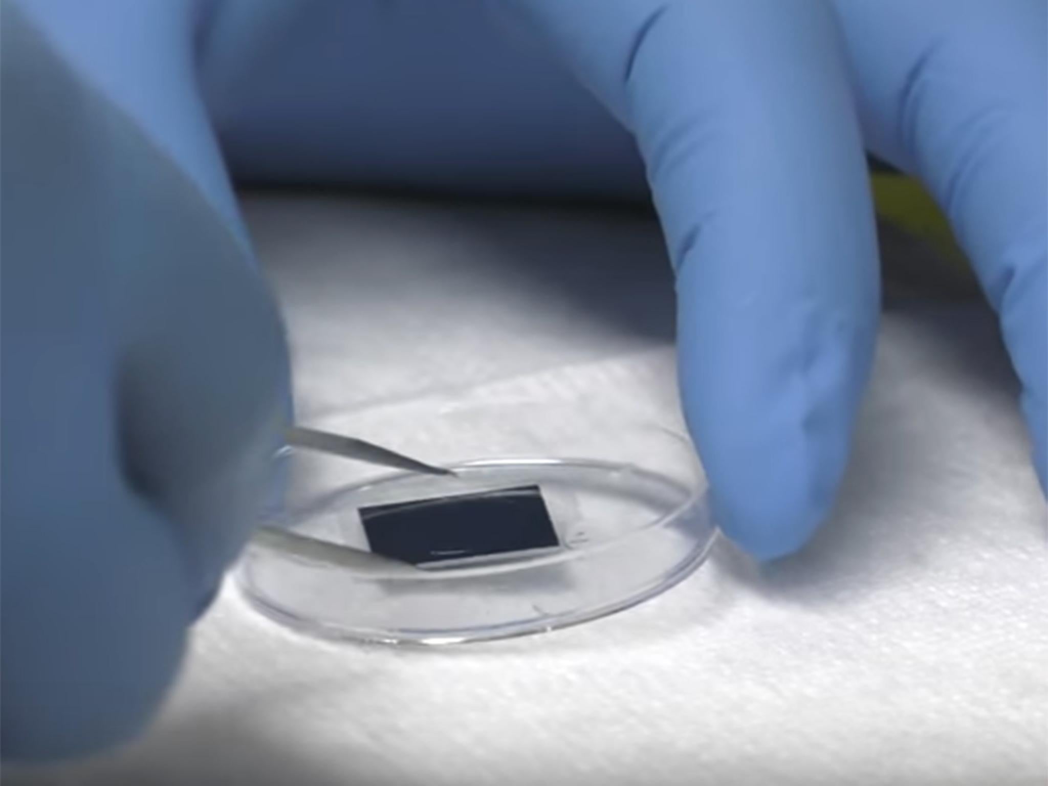 The chip could potentially be used to treat a range of conditions, including Alzheimer's and Parkinson's