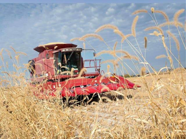 A US farmer harvests crops in Iowa. The US Department of Agriculture office in charge of farmland conservation has been told not to use the term 'climate change' anymore. 