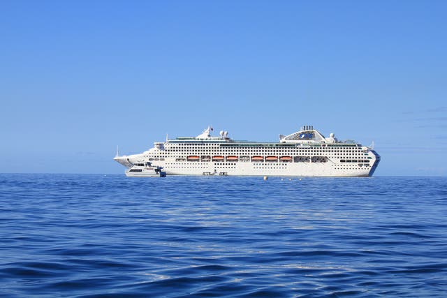 The Sea Princess cruise liner was on the first leg of a world tour