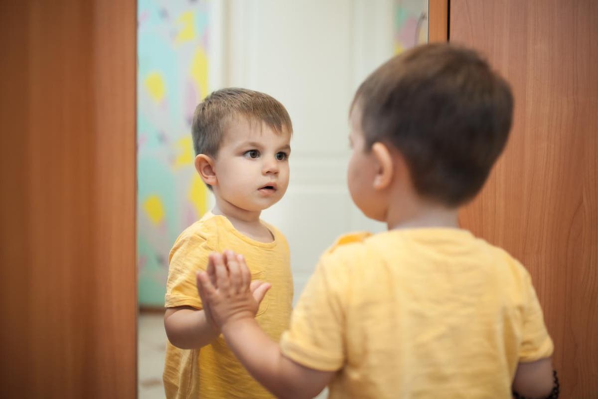 Ребенок смотрится в зеркало