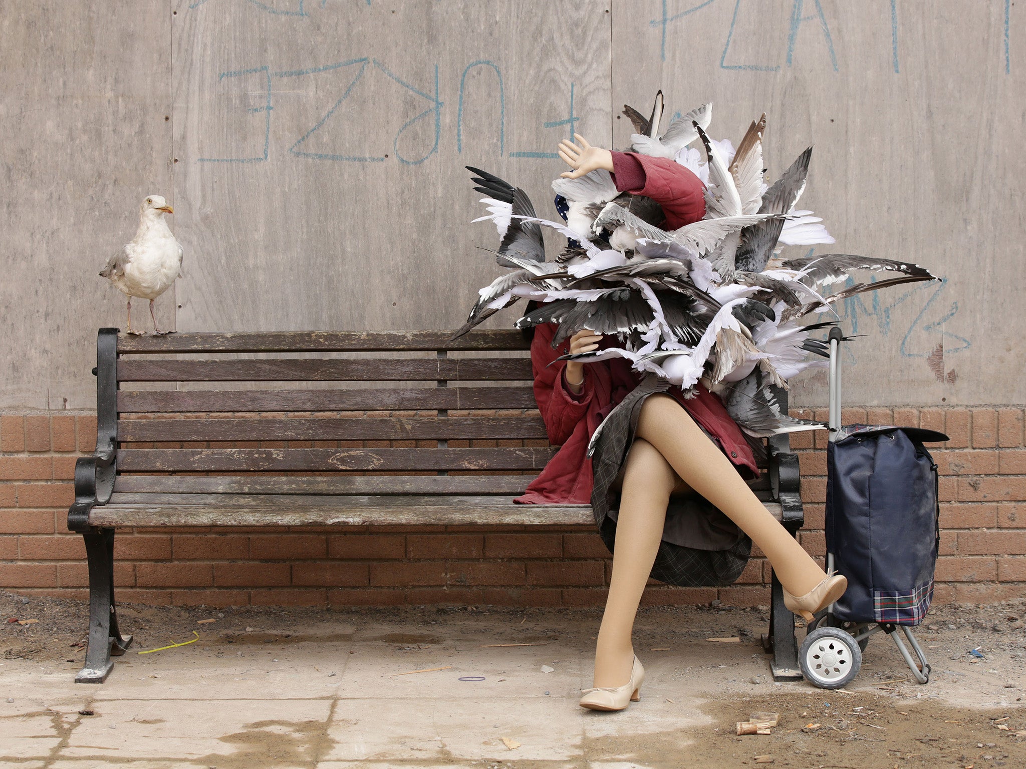 Art imitates life: a woman attacked by seagulls, by Banksy. Perhaps a little too Hitchcockian
