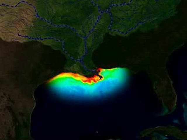 The 'dead-zone' in the northern Gulf of Mexico is one of the world's biggest 'biological deserts'