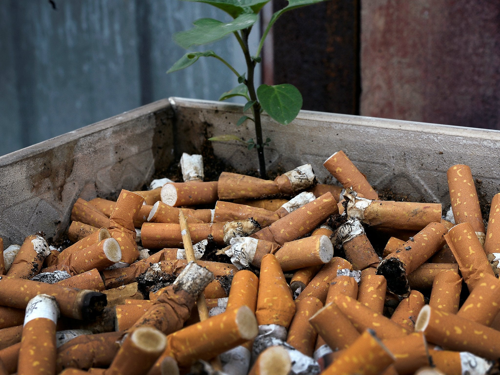Cigarette butts are seen outside of a club on July 17, 2017