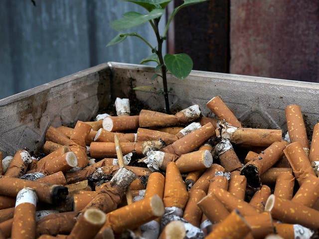 <p>Cigarette butts cost local authorities up to £40 million a year to clean up </p>