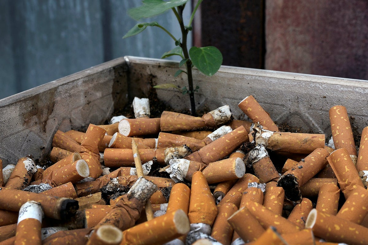 age to buy cigarettes in oregon Oregon becomes fifth state to raise smoking age to 21 | The Independent