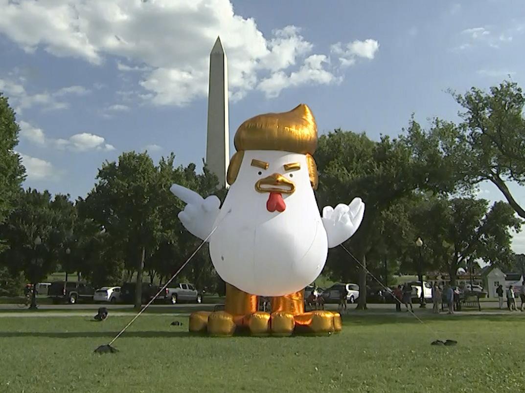 Inflatable Donald Trump Chicken Rules The Roost In Washington The Independent Independent