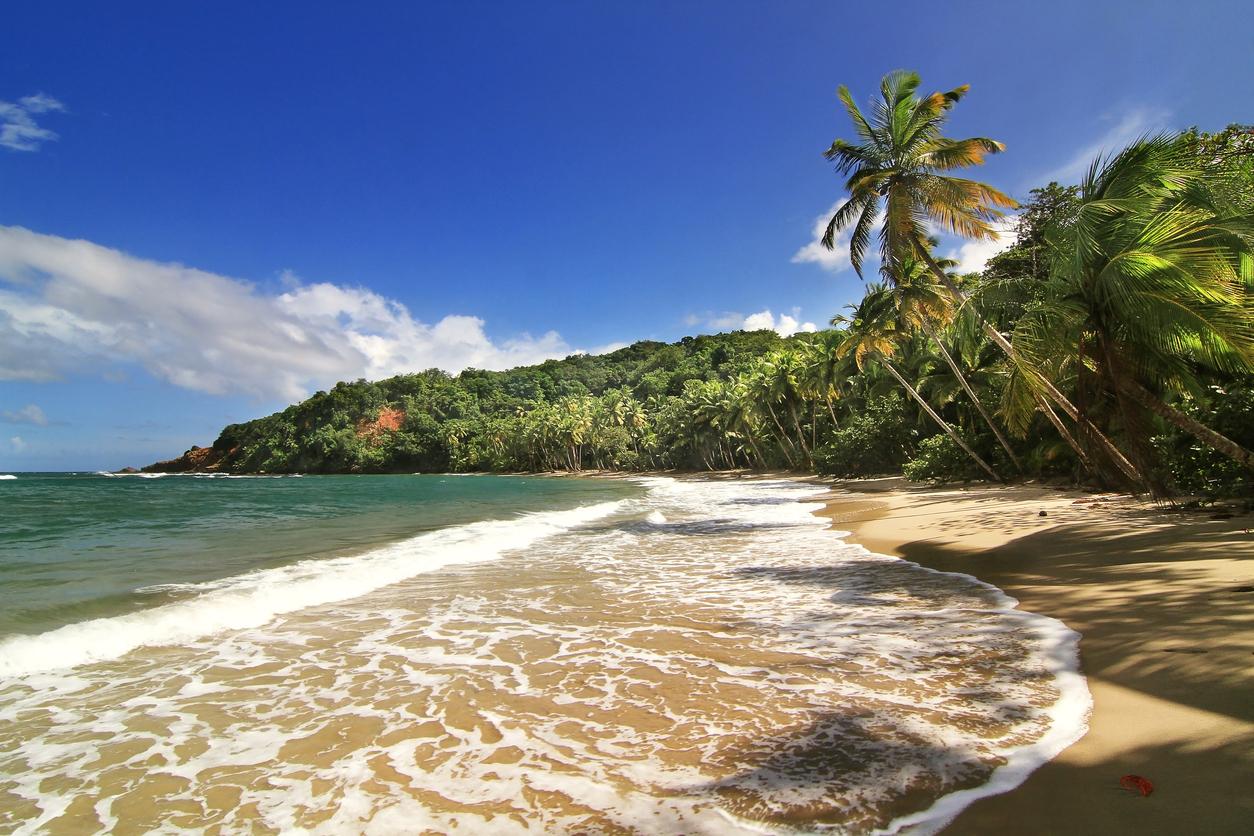 You could be in Dominica right now