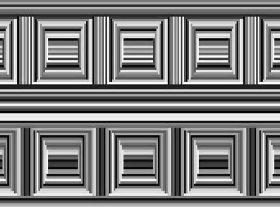 There are 16 circles in this image. Can you find them
