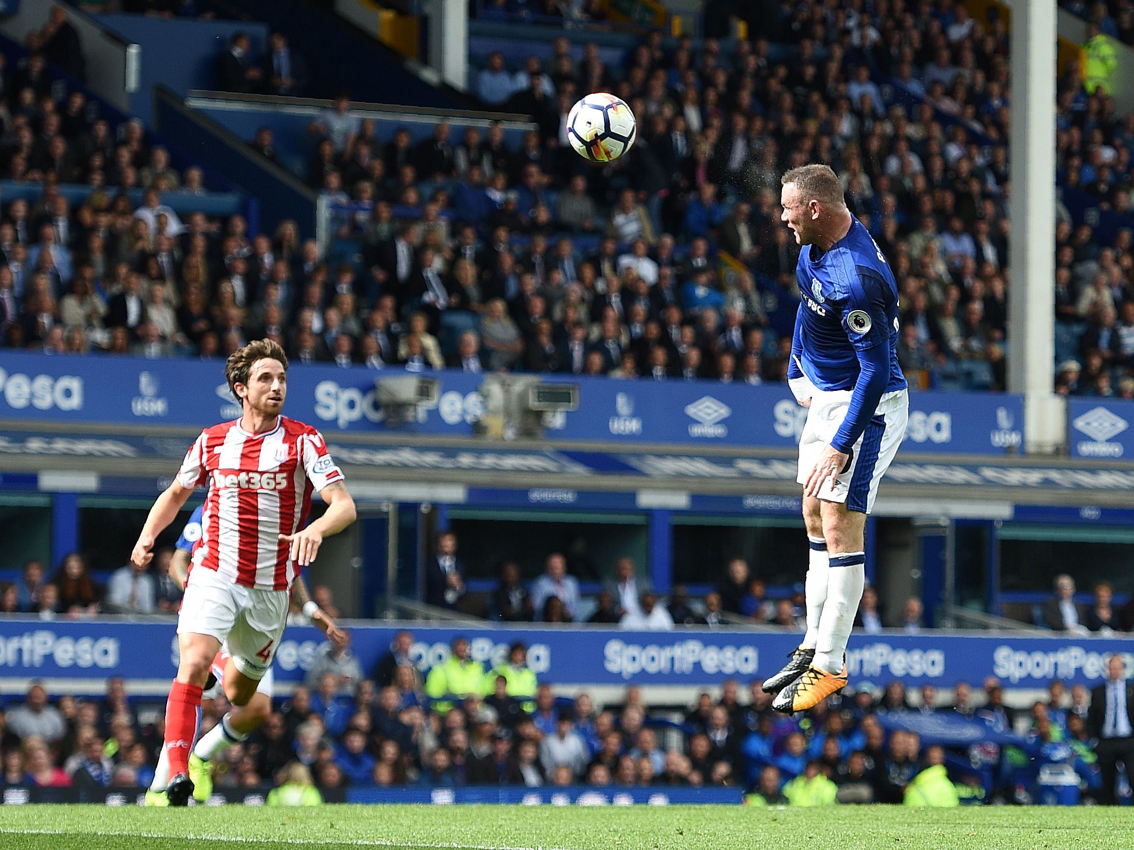 Rooney's header sent Goodison wild