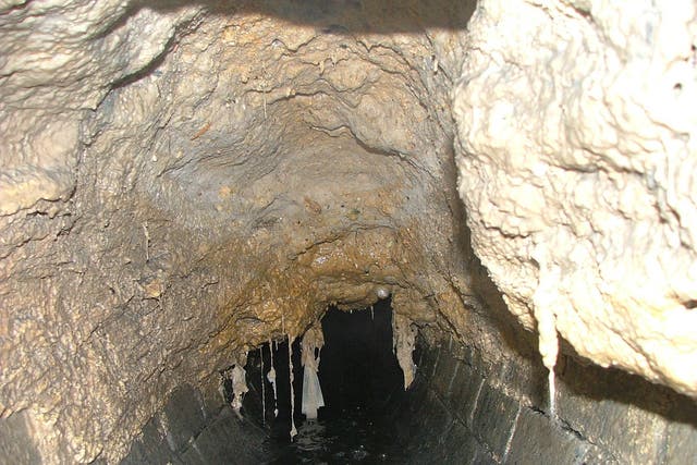Fats, oil and grease cause a stink as they clogg up the waste disposal arteries of our cities – the good news is ‘fatbergs’ can be tapped to create biodeisel